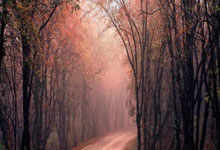 南宫28：创近10年新低，国足年终排名出炉北京日报客户端.