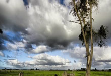 南宫28:麦迪逊:不敌切尔西球队与球迷同样失望,但我们需要团结在一起.