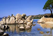 南宫28:邱彪:对阵辽宁是常规赛最后一战将全力去拼,大家没有思想包袱.